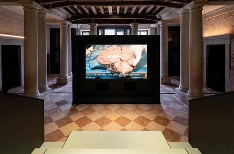 fondazione prada mostra cervello|HUMAN BRAINS .